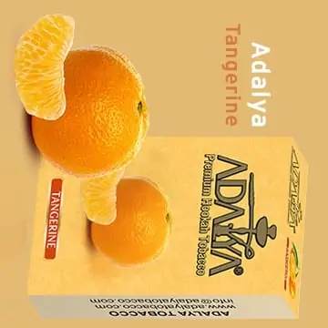 thuốc shisha adalya quít